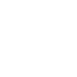 V Icon